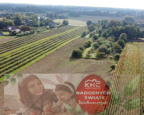 Działka, Motycz, 8.5ar, budownictwo jednorodzinne