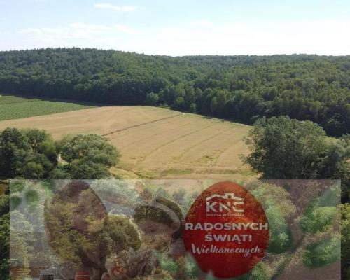 Działka 35 ha z ruinami papierni w Celejowie.