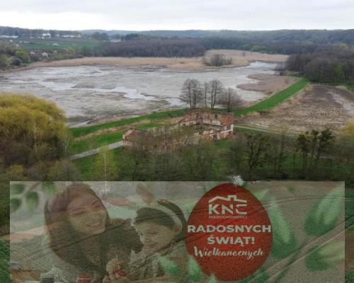 Działka 35 ha z ruinami papierni w Celejowie.