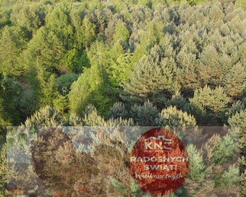 Działka o pow. 2,08 ha w m. Kawęczyn gm. Ciepielów