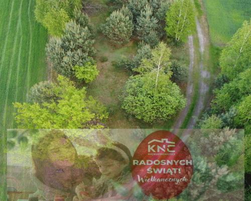 Działka o  pow. 1,63 ha w Karolowie gm. Chotcza.