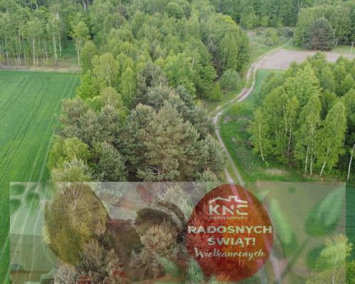 Działka o  pow. 1,63 ha w Karolowie gm. Chotcza.