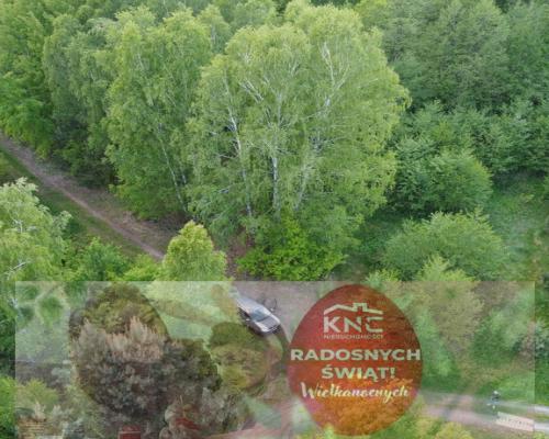 Działka o  pow. 1,63 ha w Karolowie gm. Chotcza.