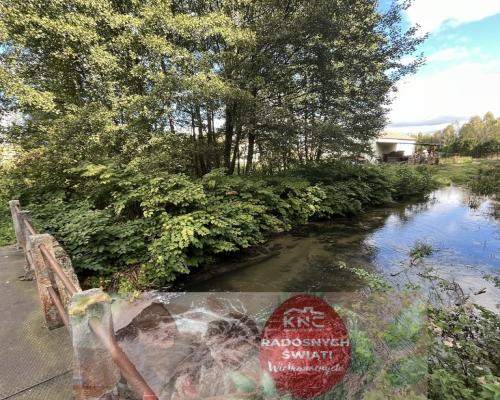 Działka 1441 m2 prze drodze 747 w Lipie Miklas.