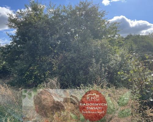 Działka 1441 m2 prze drodze 747 w Lipie Miklas.