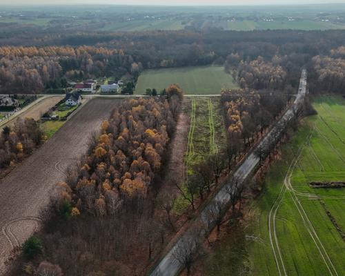 Stary Cykarzew, ul. Dębowa | Działka na sprzedaż