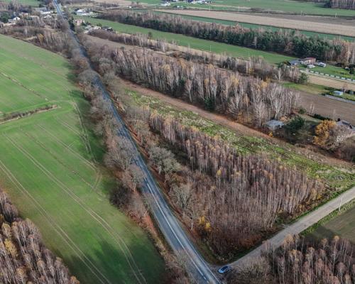 Stary Cykarzew, ul. Dębowa | Działka na sprzedaż