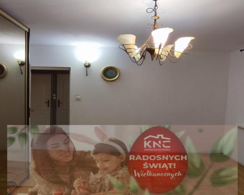 Przestronne mieszkanie przy lesie - na wynajem