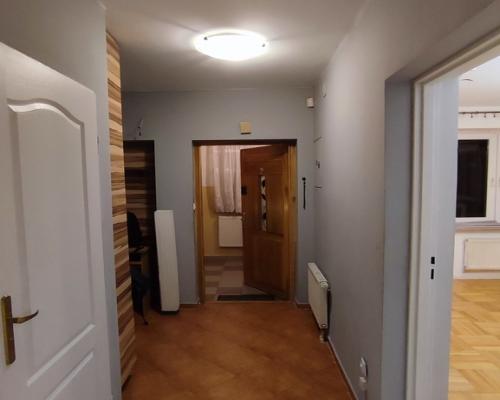 Przestronne mieszkanie przy lesie - na wynajem