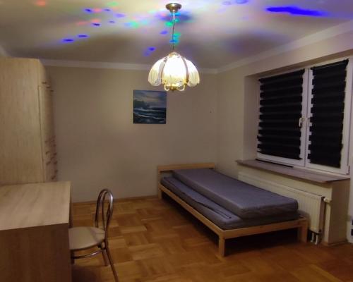 Przestronne mieszkanie przy lesie - na wynajem