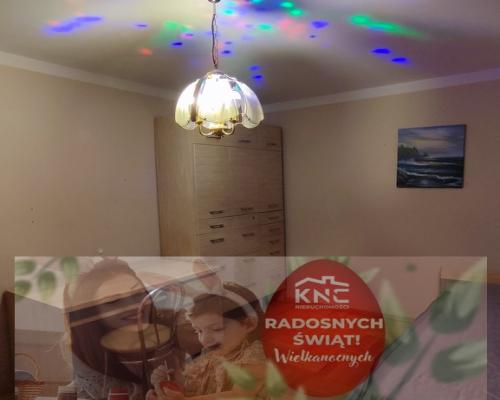 Przestronne mieszkanie przy lesie - na wynajem