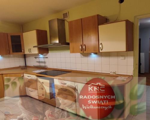 Przestronne mieszkanie przy lesie - na wynajem