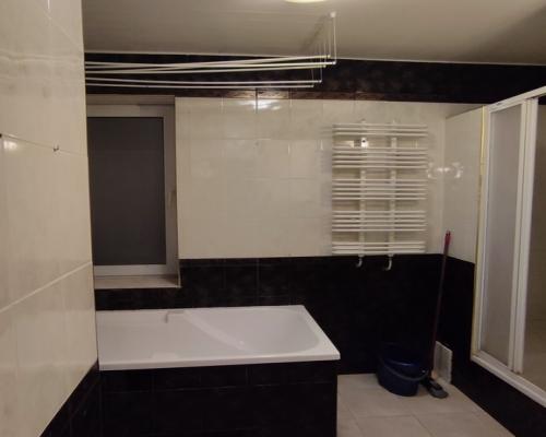 Przestronne mieszkanie przy lesie - na wynajem