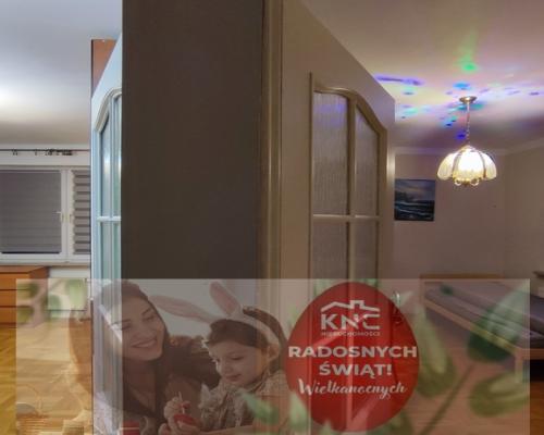 Przestronne mieszkanie przy lesie - na wynajem