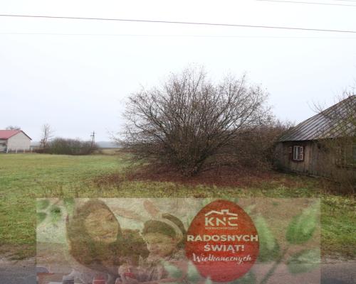 Działka rolno budowlana  1,1 ha Wola Mieczysławska