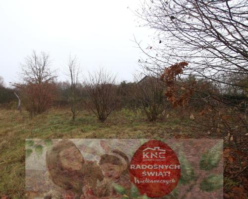 Działka rolno budowlana  1,1 ha Wola Mieczysławska