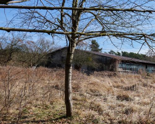 Troniny, ul. Akacjowa| Budynek pod usługi medyczne