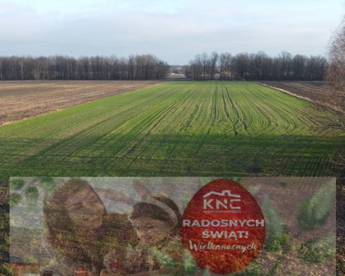 Działka (1182 m2) z WZ w Jabłonowie gm. Policzna.