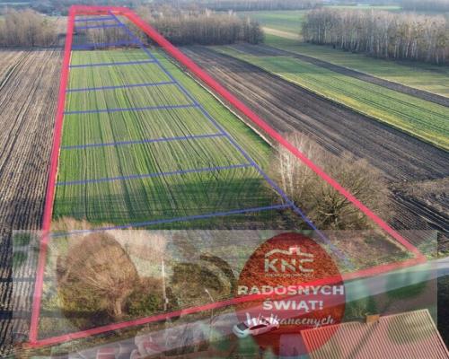 Działka (1182 m2) z WZ w Jabłonowie gm. Policzna.