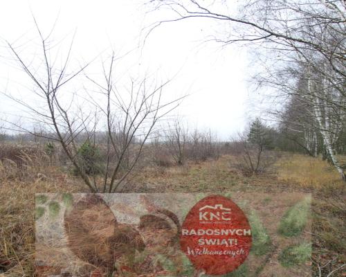 Działka komercyjna przemysł/usługa Lubartów S19