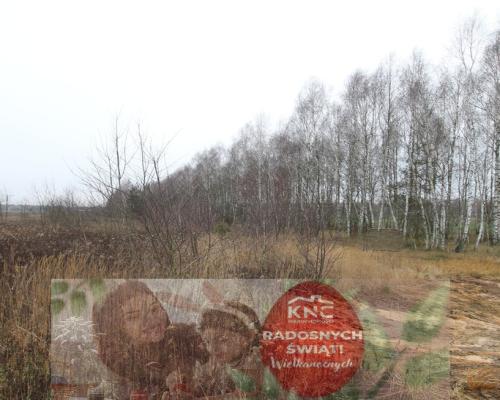 Działka komercyjna przemysł/usługa Lubartów S19