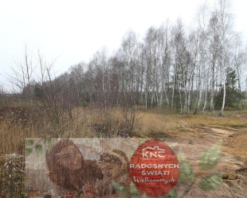 Działka komercyjna przemysł/usługa Lubartów S19