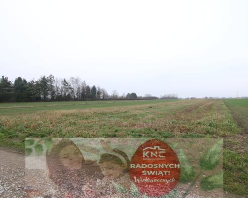 Działka budowlana 39a Lisów g. Lubartów (sieć-gaz)