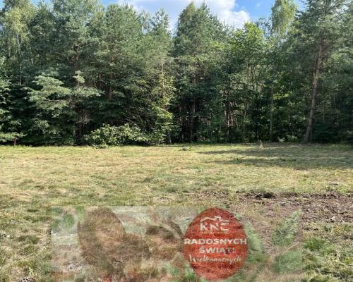 Działka budowla 3117 m2 w Kowali gm. Puławy.