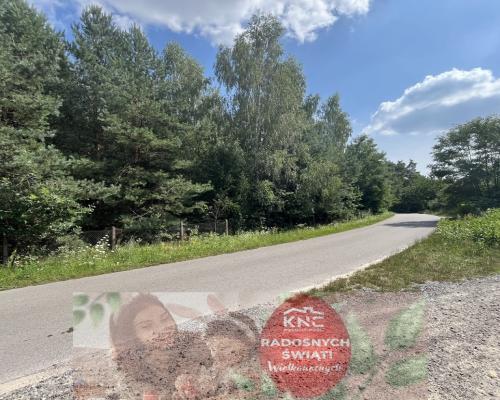 Działka budowla 3117 m2 w Kowali gm. Puławy.