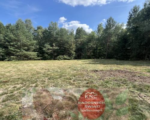 Działka budowla 3117 m2 w Kowali gm. Puławy.