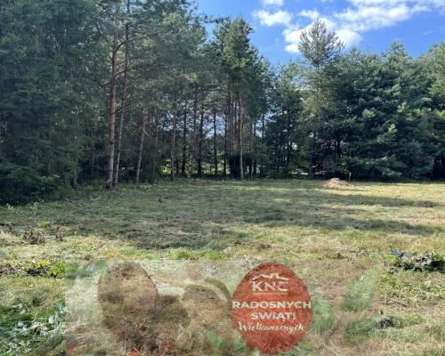 Działka budowla 3117 m2 w Kowali gm. Puławy.