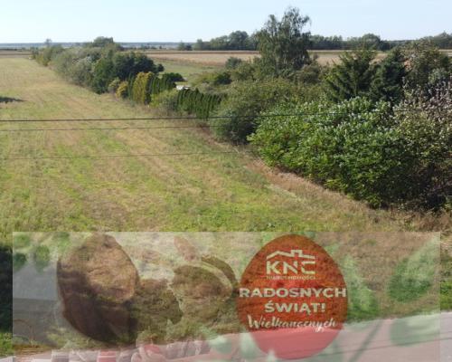 Działka budowlana 0.76 ha Sielce gm. Końskowola