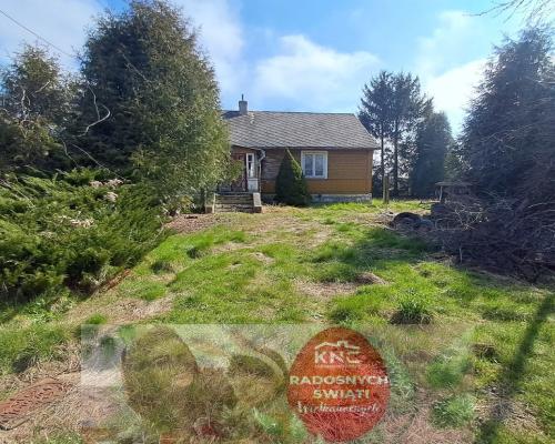 Siedlisko w Sadurkach