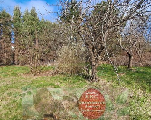 Siedlisko w Sadurkach