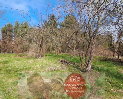 Siedlisko w Sadurkach