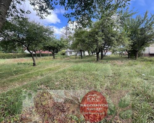 Siedlisko - Tomaszowice -dom+11000m2 działki