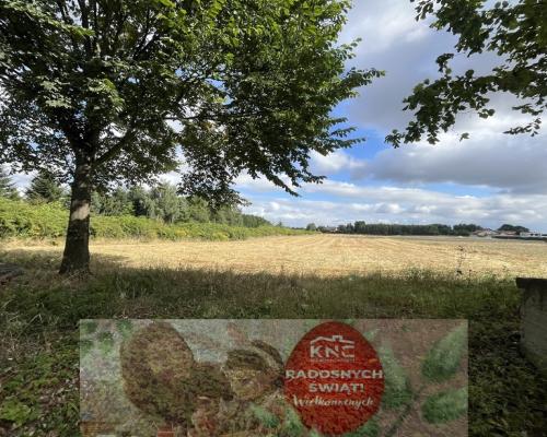 Siedlisko - Tomaszowice -dom+11000m2 działki