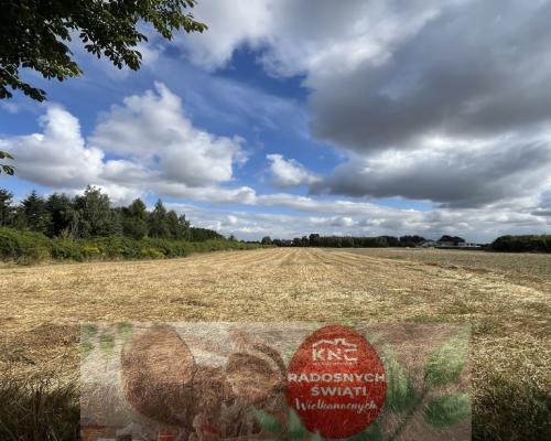 Siedlisko - Tomaszowice -dom+11000m2 działki