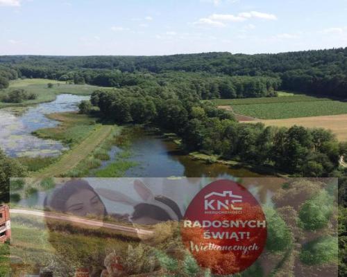 Działka inwestycyjna 35 ha  w Celejowie /Wąwolnica