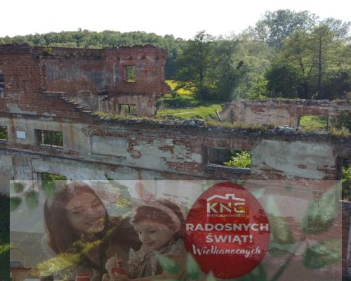 Działka inwestycyjna 35 ha  w Celejowie /Wąwolnica