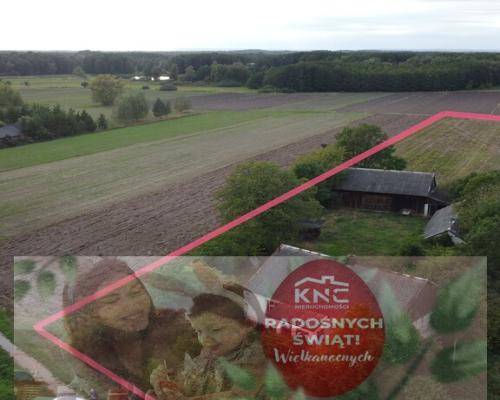 Siedlisko na dużej działce w Dobrucie gm. Orońsko.