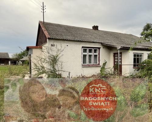 Siedlisko na dużej działce w Dobrucie gm. Orońsko.