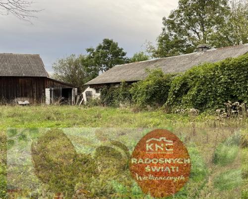 Siedlisko na dużej działce w Dobrucie gm. Orońsko.