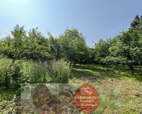 Działka 0,21 ha w Kaliszanach Kolonii gm. Józefów.