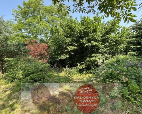 Działka 0,21 ha w Kaliszanach Kolonii gm. Józefów.