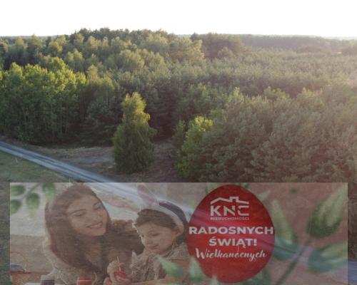 Dom na dużej działce w Świesielicach gm. Ciepielów