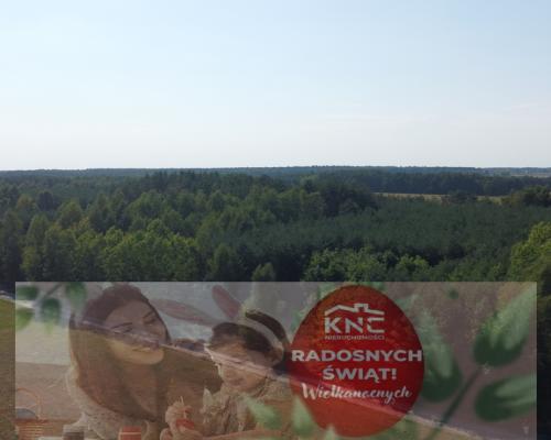 Dom na dużej działce w Świesielicach gm. Ciepielów