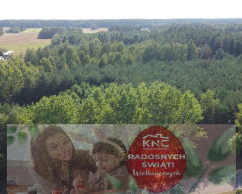 Dom na dużej działce w Świesielicach gm. Ciepielów