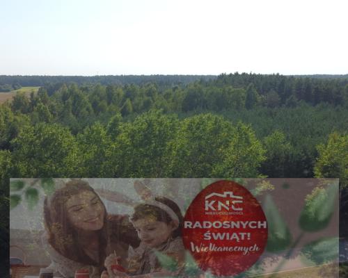 Dom na dużej działce w Świesielicach gm. Ciepielów