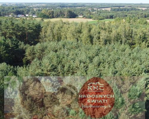 Dom na dużej działce w Świesielicach gm. Ciepielów